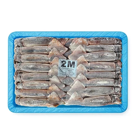 채낚/포크오징어/2M/20kg/원양