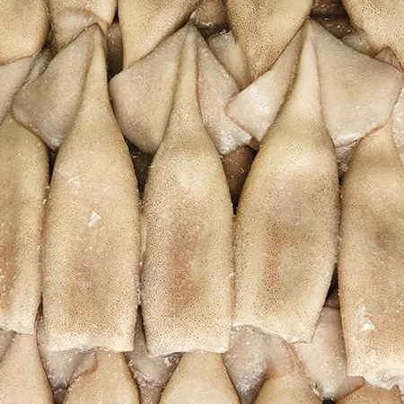 튜브오징어 M 10kg 120/150 이미지