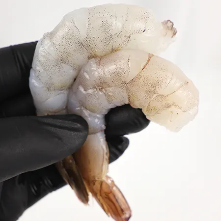 생칵테일새우 9kg (26/30) (900gX10) 이미지