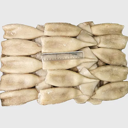 튜브오징어 M 10kg 120/150 이미지