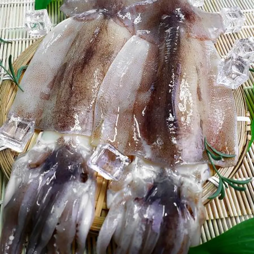 할복오징어 4kg 21/24미 이미지