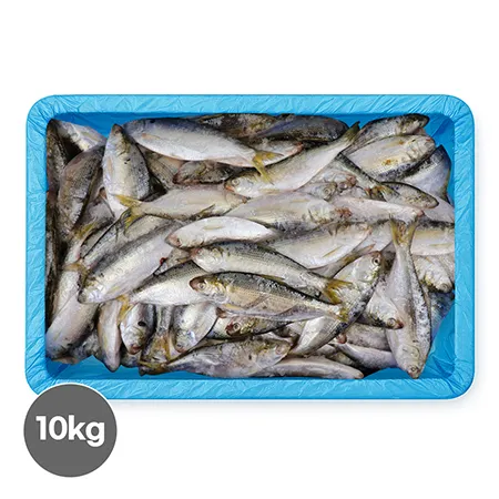 냉동전어10kg/125미내외(구이용) 80/110