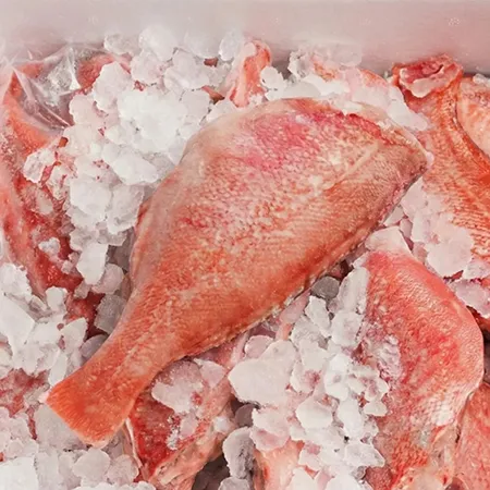 손질볼락 4kg (150/200) 이미지