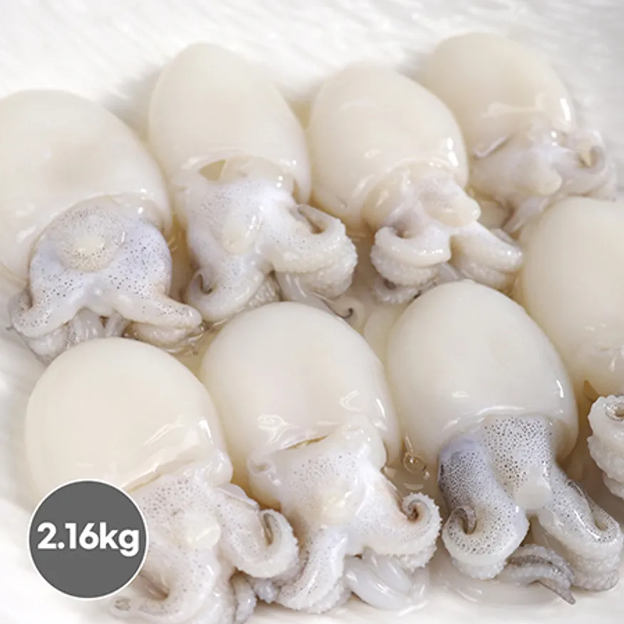 미니 갑오징어(9미) (20/40) 2.16kg (180gX12) 이미지