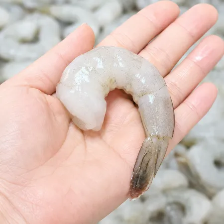 생칵테일새우 9kg (31/40) (900gX10)