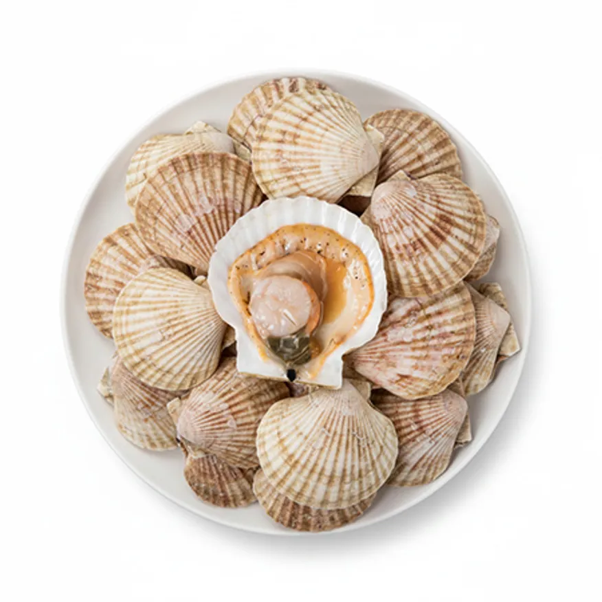 반가리비 10.8kg (5/6미) (180gX10) (6박스묶음) 이미지