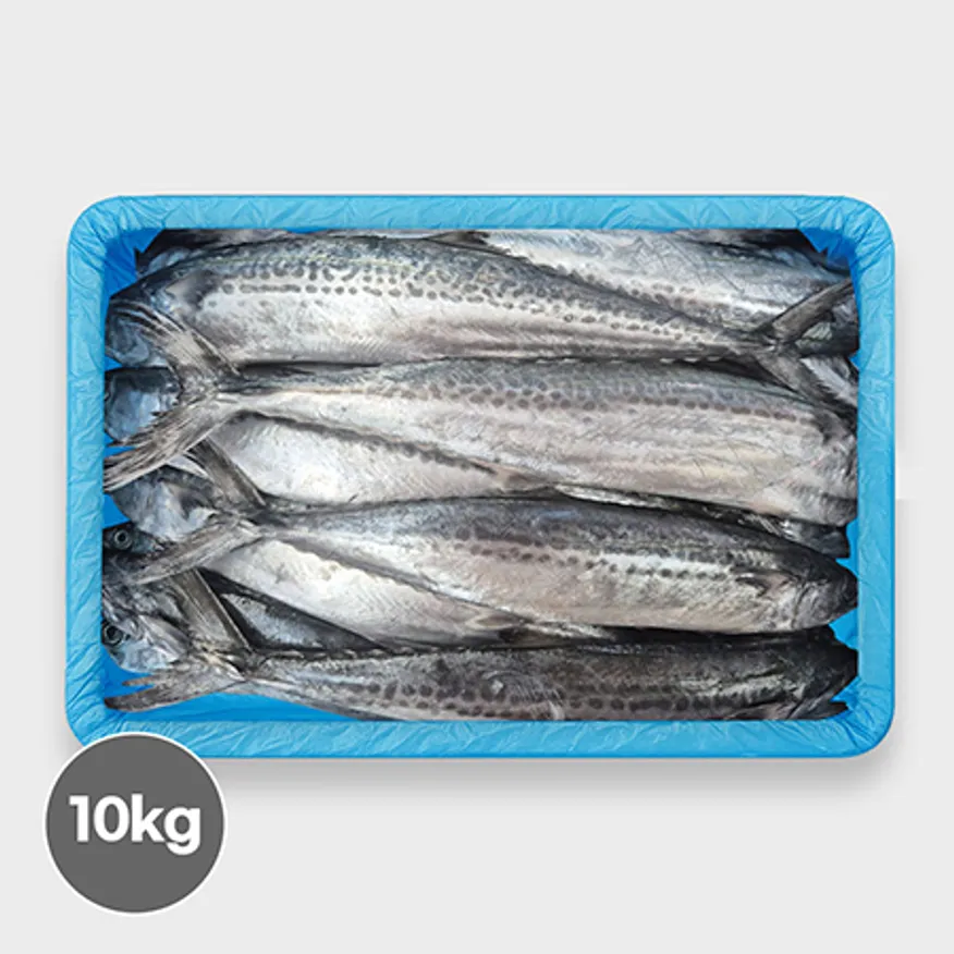 국산 냉동 삼치 원물 10kg (18/20미) 이미지