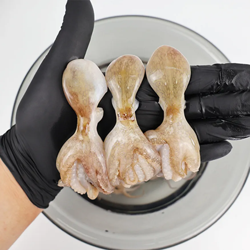 냉동쭈꾸미 2.16kg (180gX12) (20/30) 15미 이미지