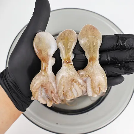 냉동쭈꾸미 2.16kg (180gX12) (20/30) 15미 이미지