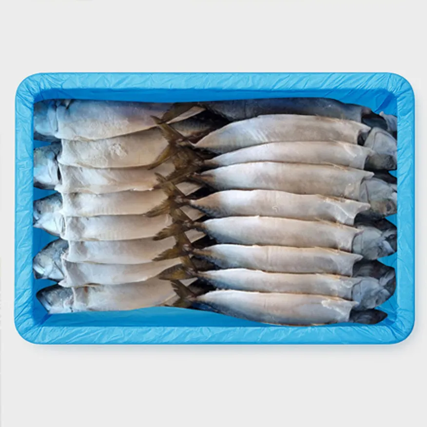 자반용 국산 냉동고등어 11.5kg/20미 이미지
