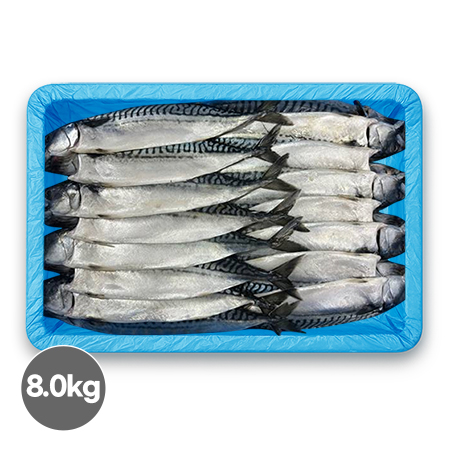 노르웨이 자반고등어(왕특)/16마리/8kg