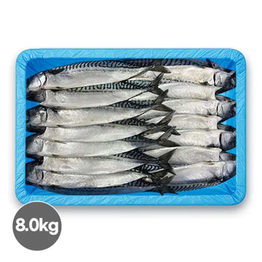 노르웨이 자반고등어(왕특)/16마리/8kg 이미지