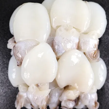 미니 갑오징어(9미) (20/40) 2.16kg (180gX12) 이미지