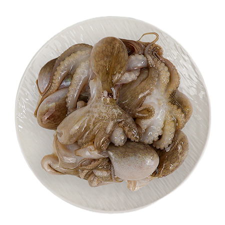 냉동쭈꾸미 2.16kg (180gX12) (20/30) 15미