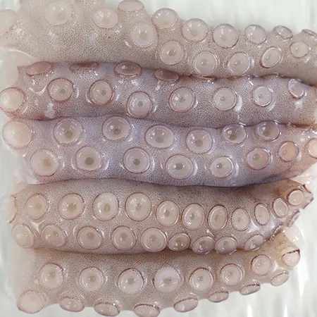 절단낙지L 2.7kg (450gx6) 이미지