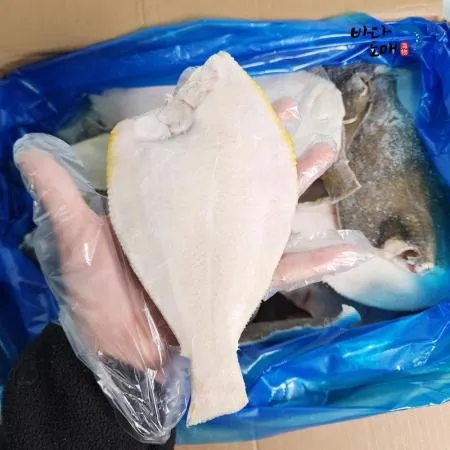 업소용 손질 가자미  100/150(중) 4.5kg, 1개  이미지