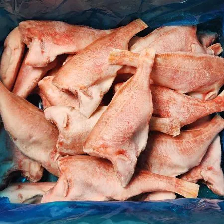 상태 최상 손질 장문볼락(적어) 4kg(150~200g)