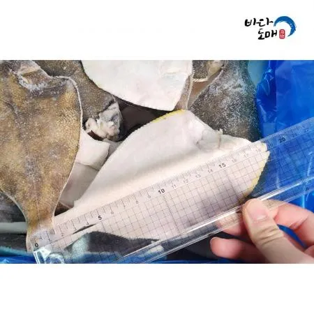 업소용 손질 가자미  100/150(중) 4.5kg, 1개  이미지