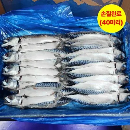 노르웨이 자반고등어 중 대 20손(40마리) 파지 손질 10kg
