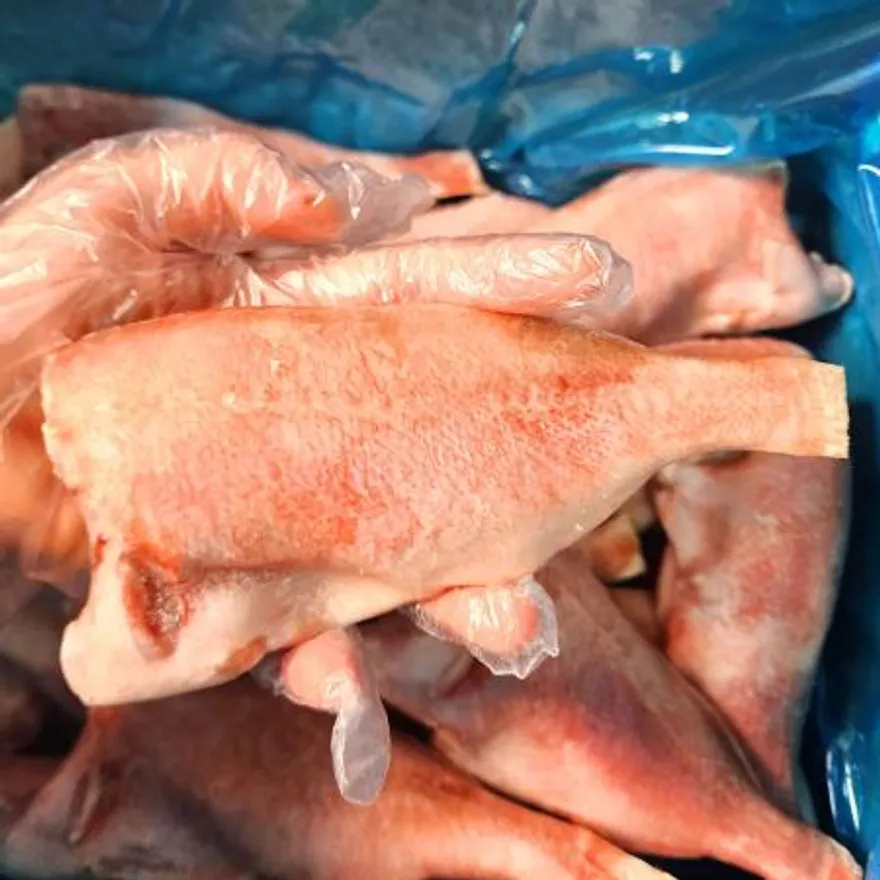 손질 장문볼락(적어) 구이용 4kg(150~200g) 열기 이미지