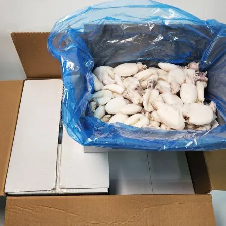 [원가 올랐어요 ]솔방울오징어 미니 갑오징어 8kg 9미 베이비이까 약 280마리