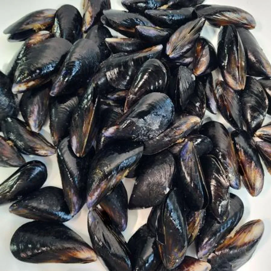 냉동 자숙 피홍합 1kgx10봉 국내산 업소용 산지직송 10kg 이미지