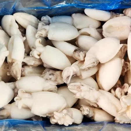 [원가 올랐어요 ]솔방울오징어 미니 갑오징어 8kg 9미 베이비이까 약 280마리 이미지