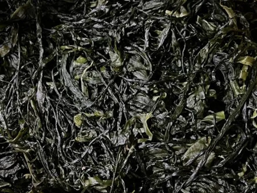 전라도 완도 청정지역 최상급 프리미엄 염장미역 이미지