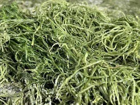 전라도 완도 청정지역 최상급 프리미엄 청꼬시래기 이미지