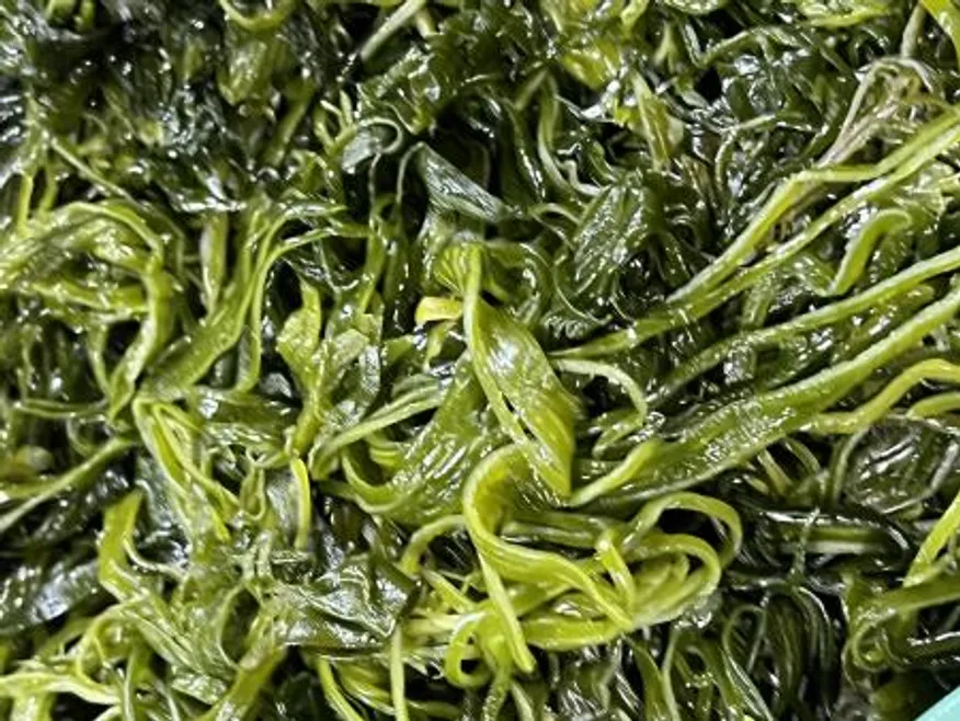 전라도 완도 청정지역 최상급 프리미엄 채다시마 이미지