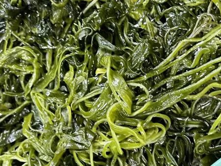 전라도 완도 청정지역 최상급 프리미엄 채다시마 이미지