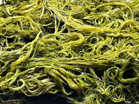 전라도 완도 청정지역 최상급 프리미엄 미역줄기