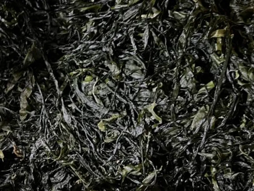 전라도 완도 청정지역 최상급 프리미엄 염장미역 이미지