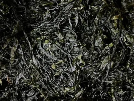 전라도 완도 청정지역 최상급 프리미엄 염장미역 이미지