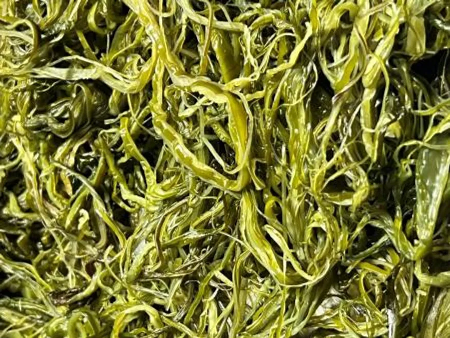 전라도 완도 청정지역 최상급 프리미엄 미역줄기 이미지