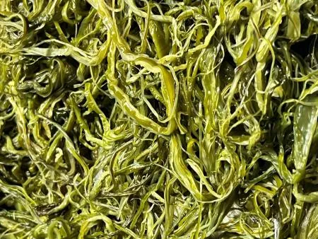 전라도 완도 청정지역 최상급 프리미엄 미역줄기 이미지