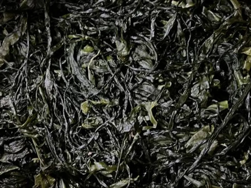 전라도 완도 청정지역 최상급 프리미엄 염장미역 이미지