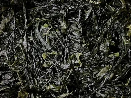 전라도 완도 청정지역 최상급 프리미엄 염장미역 이미지