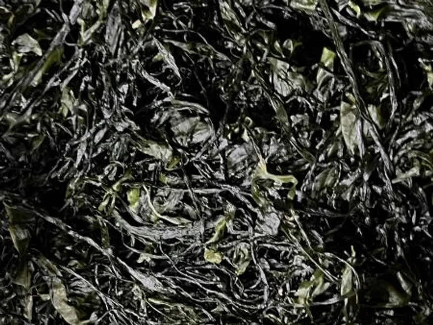 전라도 완도 청정지역 최상급 프리미엄 염장미역 이미지