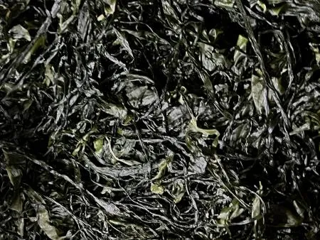 전라도 완도 청정지역 최상급 프리미엄 염장미역