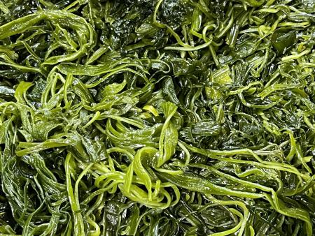 전라도 완도 청정지역 최상급 프리미엄 채다시마