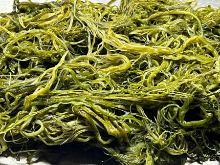 전라도 완도 청정지역 최상급 프리미엄 미역줄기 이미지