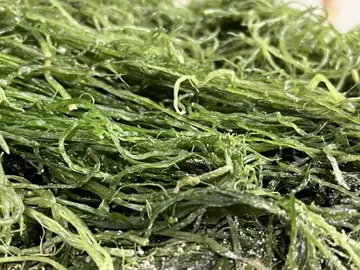 전라도 완도 청정지역 최상급 프리미엄 꼬시래기 + 청꼬시래기