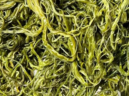 전라도 완도 청정지역 최상급 프리미엄 미역줄기 이미지