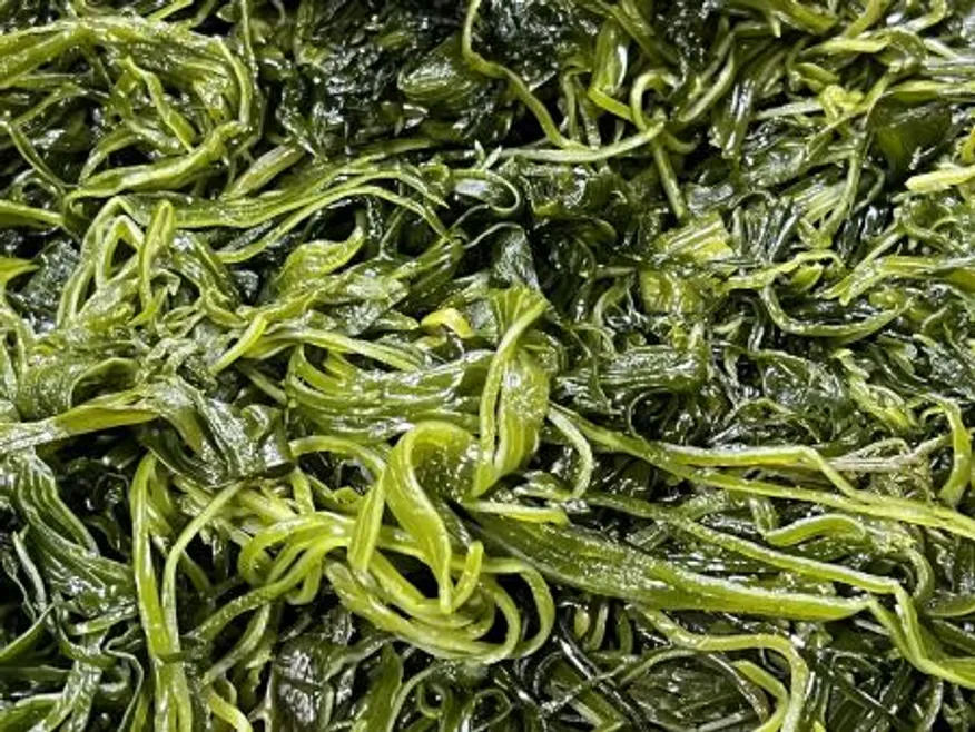 전라도 완도 청정지역 최상급 프리미엄 채다시마 이미지