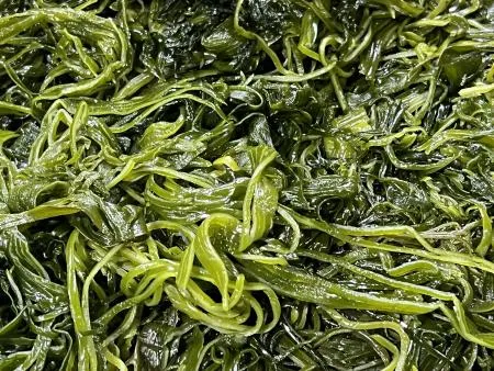 전라도 완도 청정지역 최상급 프리미엄 채다시마 이미지