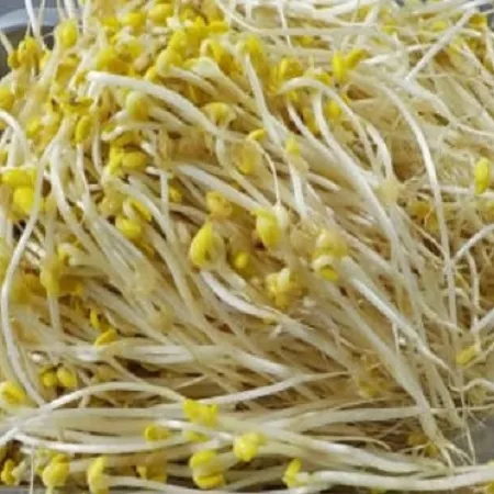 일자콩나물3.5kg(외국산콩)