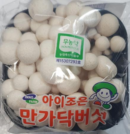 만가닥버섯 (흰색,10입)[BOX]