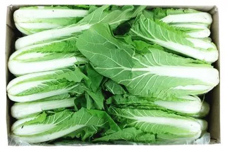 얼갈이 4kg[BOX]