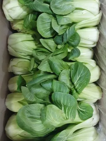 청경채(상) 4kg[BOX]